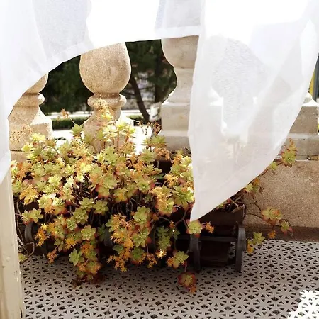 Central - Charming Historic Gem - Modern Comforts Pula